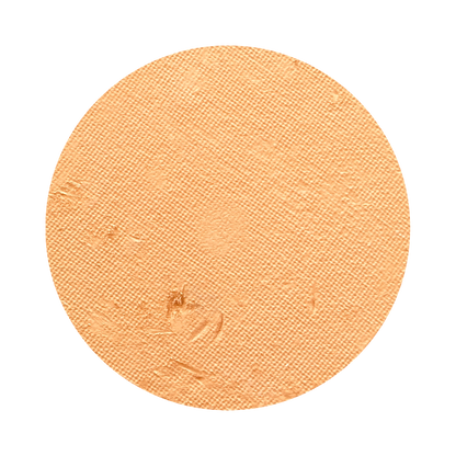 All In One Mineral Foundation Powder