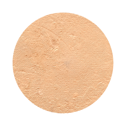 All In One Mineral Foundation Powder