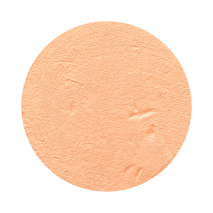 All In One Mineral Foundation Powder