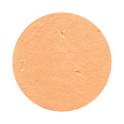 All In One Mineral Foundation Powder