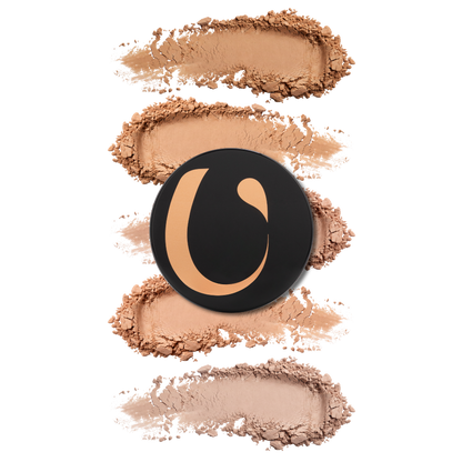 All In One Mineral Foundation Powder