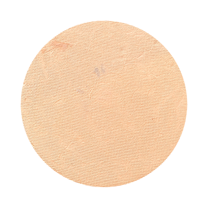 All In One Mineral Foundation Powder