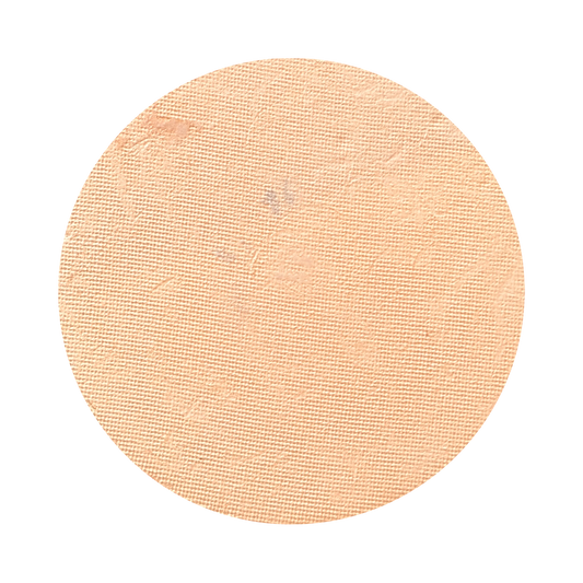All In One Mineral Foundation Powder